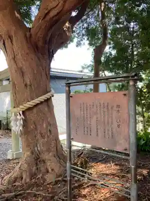 玉前神社(千葉県)