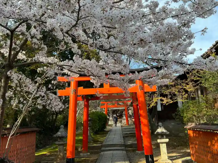 竹中稲荷神社(吉田神社末社)(京都府)