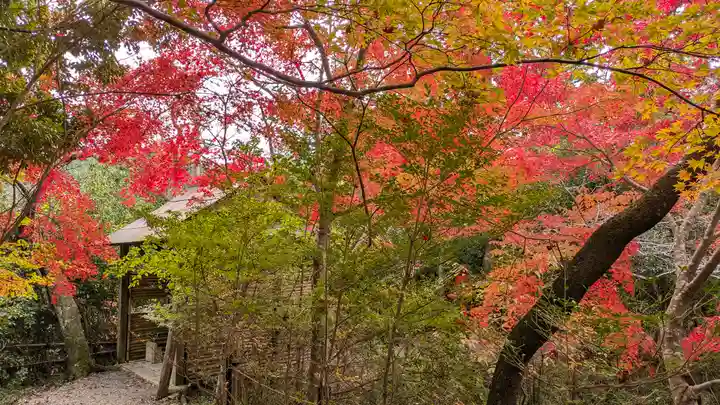 鍬山神社(京都府)