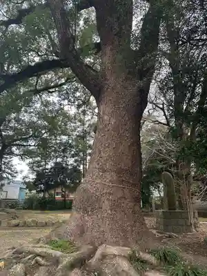 有家温泉神社(長崎県)