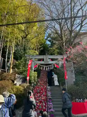 座間神社(神奈川県)