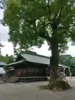 鷲宮神社(埼玉県)