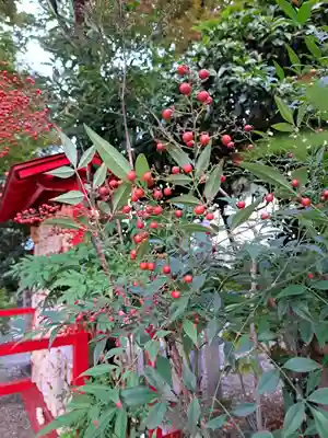 三輪神社(愛知県)