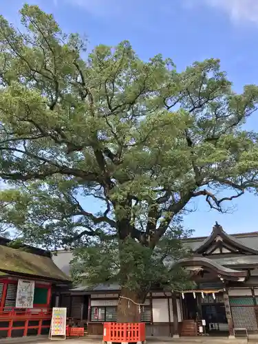 宇佐神宮の自然