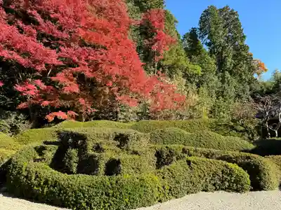 大池寺(滋賀県)