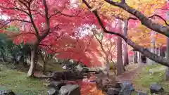 龍興山神社の自然