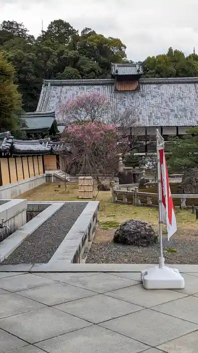 くろ谷 金戒光明寺の建物その他