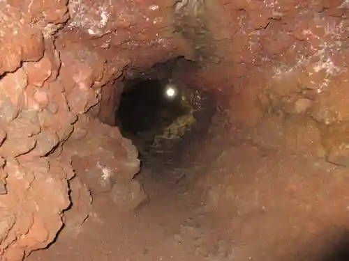 無戸室浅間神社(船津胎内神社)の自然