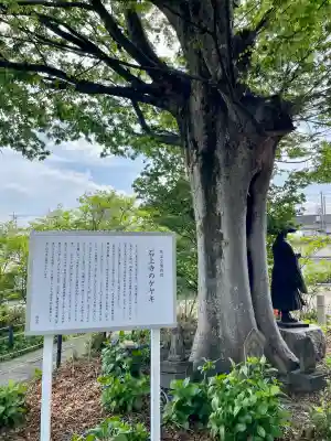 石上寺の{uncategorized: "未分類", other: "その他", undefined: "問題あり", building: "その他建物", grave: "お墓", sacred_gate: "鳥居", guardian: "狛犬", statue: "像", buddha: "仏像", history: "歴史", nature: "自然", garden: "庭園", animal: "動物", pagoda: "塔", temizu: "手水舎", mountain_gate: "山門・神門", sanctuary: "本殿・本堂", subordinate: "末社・摂社", art: "芸術", scenery: "景色", jizo: "地蔵", ema: "絵馬", goshuin: "御朱印", omikuji: "おみくじ", items: "授与品その他", amulet: "お守り", goshuincho: "御朱印帳", eats: "食事", festival: "お祭り", votive_dance: "神楽", shichigosan: "七五三参", wedding: "結婚式", experience: "体験その他", initially: "初詣", around: "周辺", anti_infection: "感染症対策"}