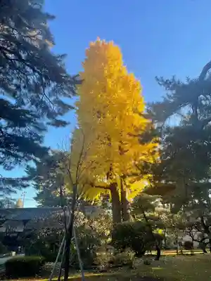 三寳寺(東京都)