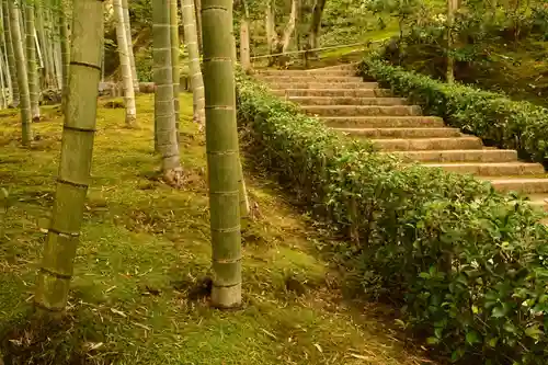 常寂光寺(京都府)