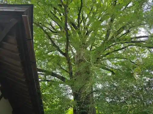 来迎院(奈良県)