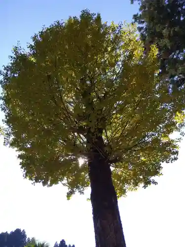 白山神社(福井県)