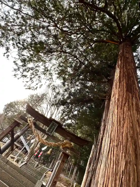 子檀嶺神社(長野県)