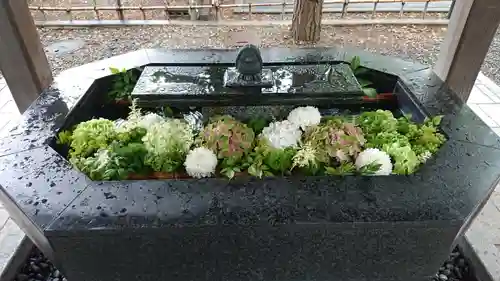 新琴似神社の手水舎