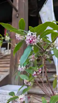 行願寺（革堂）(京都府)