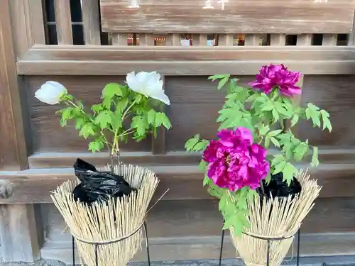 筥崎宮(福岡県)