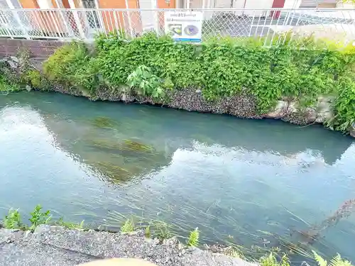 妙金剛寺(滋賀県)