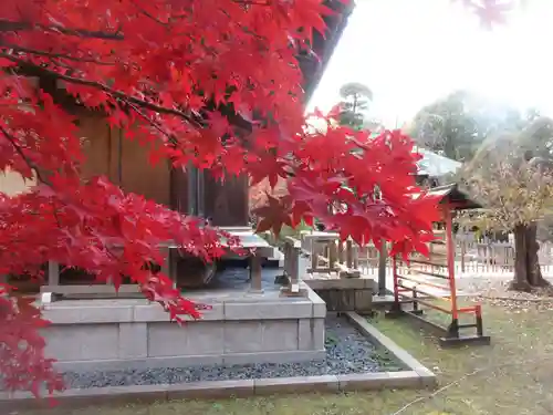 東漸寺(千葉県)