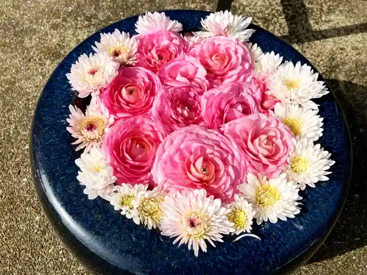 真言宗 善通寺派 薬王寺の手水舎