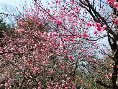 北野天満宮(京都府)
