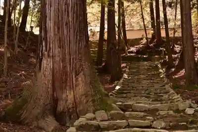 佛通寺(広島県)