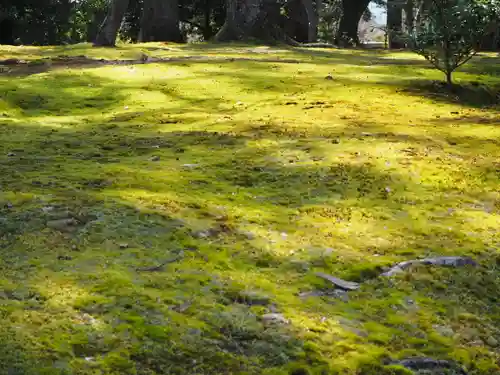 鹿苑寺（金閣寺）の自然
