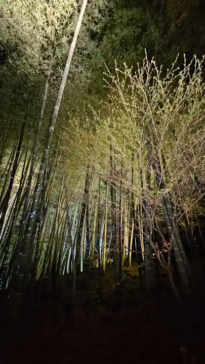 高台寺(高台寿聖禅寺・高臺寺)(京都府)