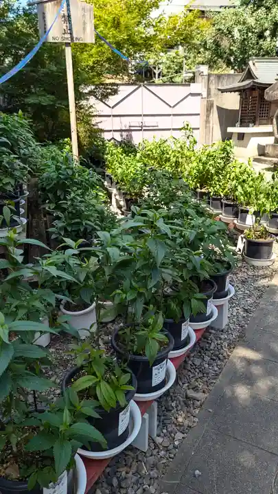 行願寺(革堂)(京都府)