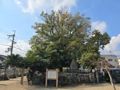 龍田神社(奈良県)