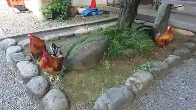 谷保天満宮のその他建物