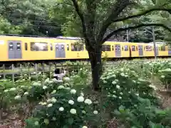 大善院(東京都)