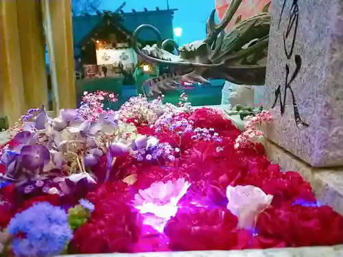 札幌諏訪神社の手水舎