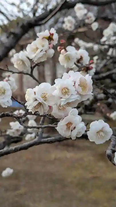 智積院(京都府)