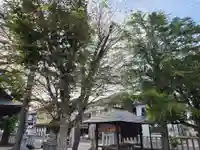 宇美神社(島根県)