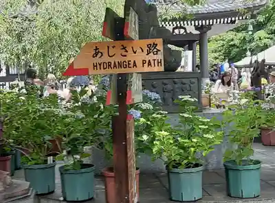 長谷寺(神奈川県)