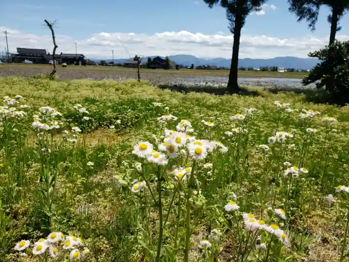 砂田神社の自然
