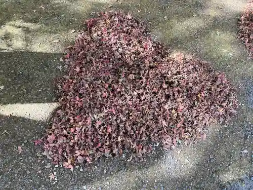 普門寺(切り絵御朱印発祥の寺)(愛知県)