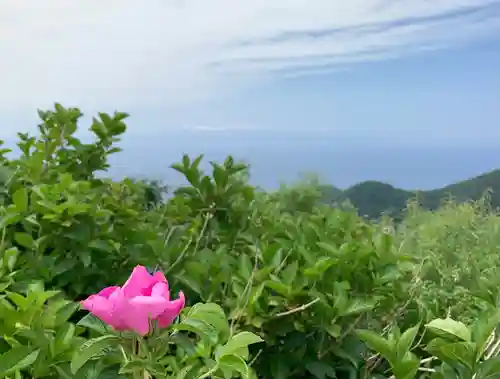 彌彦神社の景色