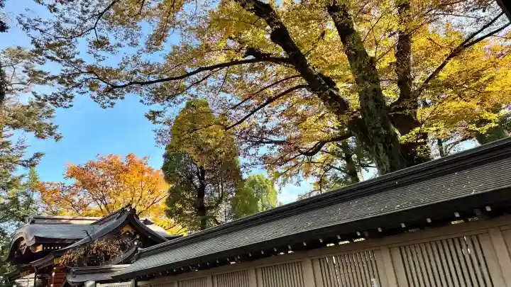 大國魂神社の{uncategorized: "未分類", other: "その他", undefined: "問題あり", building: "その他建物", grave: "お墓", sacred_gate: "鳥居", guardian: "狛犬", statue: "像", buddha: "仏像", history: "歴史", nature: "自然", garden: "庭園", animal: "動物", pagoda: "塔", temizu: "手水舎", mountain_gate: "山門・神門", sanctuary: "本殿・本堂", subordinate: "末社・摂社", art: "芸術", scenery: "景色", jizo: "地蔵", ema: "絵馬", goshuin: "御朱印", omikuji: "おみくじ", items: "授与品その他", amulet: "お守り", goshuincho: "御朱印帳", eats: "食事", festival: "お祭り", votive_dance: "神楽", shichigosan: "七五三参", wedding: "結婚式", experience: "体験その他", initially: "初詣", around: "周辺", anti_infection: "感染症対策"}