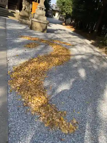 星宮神社(栃木県)