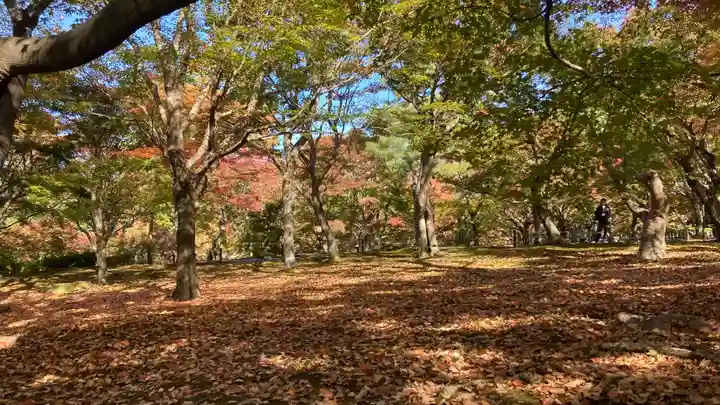 東福禅寺(東福寺)(京都府)