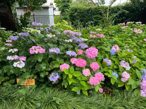 酒見神社(愛知県)