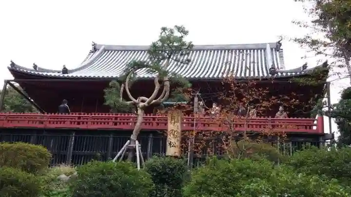 清水観音堂のその他建物