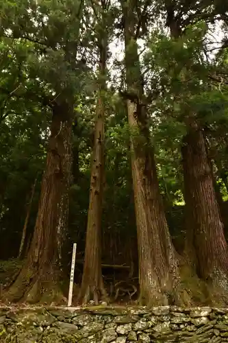 栗枝渡神社(徳島県)