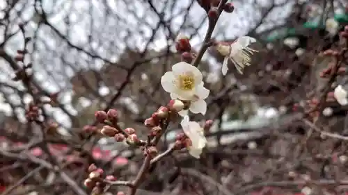 滝宮天満宮(香川県)