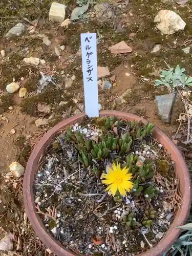 玉野御嶽神社の自然