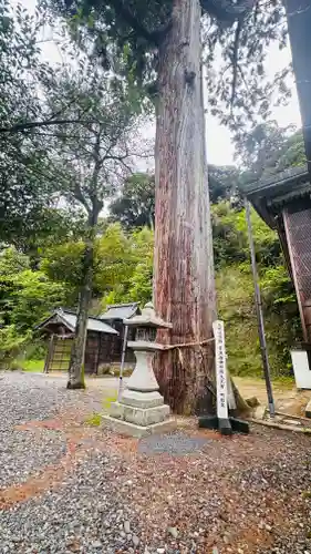 宇波西神社(福井県)