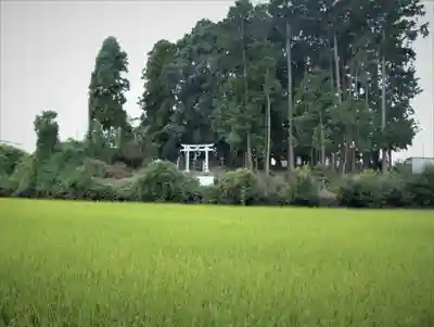 御田神社の景色