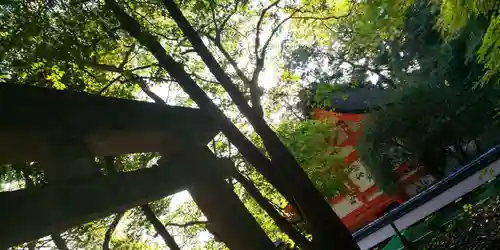 出雲大神宮のその他建物